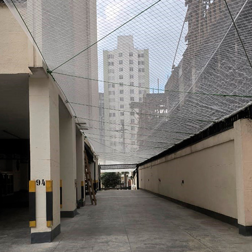 Proteção de Vizinho