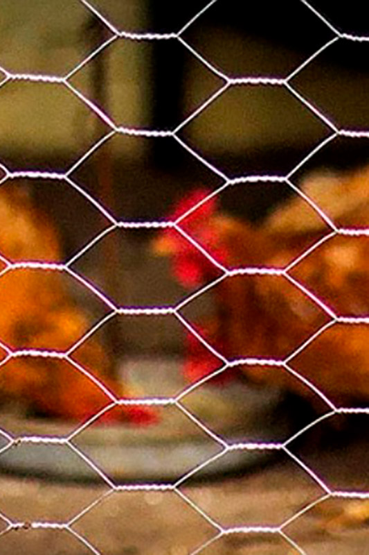 tela-hexagonal-metalica-06